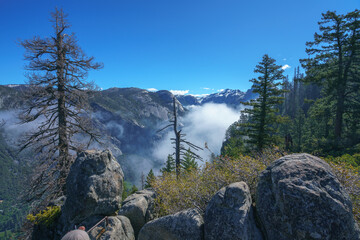 Fototapeta na wymiar hiking the four mile trail in yosemite national park in california, usa