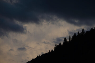 Landschaftspanorama von den Wäldern auf den Bergen im Sonnenaufgang Sonnenuntergang - Blauestunde (Luftperspektive)