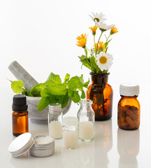 Wild flowers and herbs, mortar and pestle isolated on white background