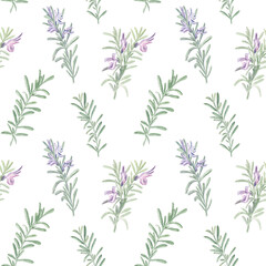 Seamless elegant pattern with branches of rosemary on a white isolated background. Fine and delicate watercolor illustration. Great for kitchen textile and wallpapers. 
