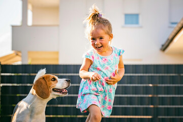 Baby girl running with beagle dog in backyard in summer day. Domestic animal with children concept.