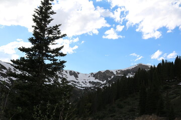 Independence ghost town near Aspen Colorado