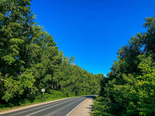 road in the forest