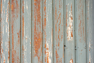 Grunge wooden board texture. Light grey  and white color.