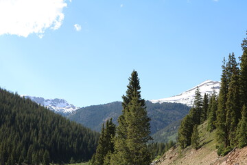 Independence ghost town near Aspen Colorado