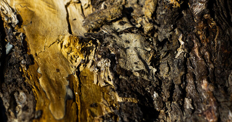 stone wall background