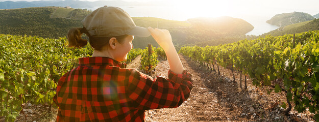 Woman farmer looks on the vineyard at the sunset 