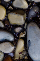 rocks on the beach