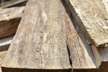 Wood texture. Wood texture for design and decoration
