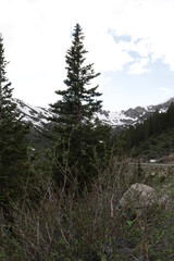 Independence ghost town near Aspen Colorado