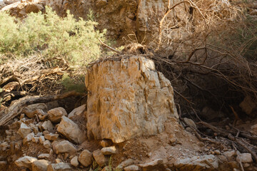 gorge with a stream and waterfall Ein Bokek