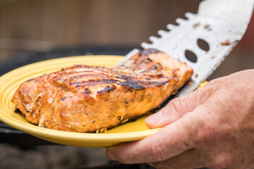 Fresh Salmon steak being plated