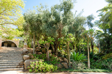 The Botanical Garden at Kibbutz Ein Gedi
