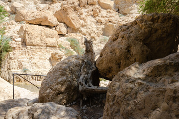 Ein Gedi Nature Reserve at the Dead Sea