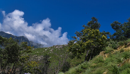 A beautiful view of landscape at Kashmir India.