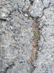 old stone wall