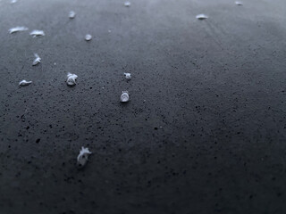 waterdrops macro image on dark grey porous concrete on the holocaust memorial in berlin...