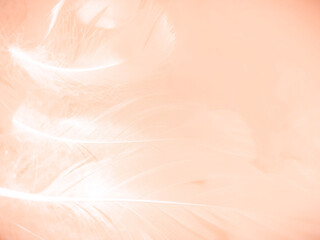 Fototapeta premium Beautiful abstract orange and white feathers on white background, soft brown feather texture on white pattern background, yellow feather background