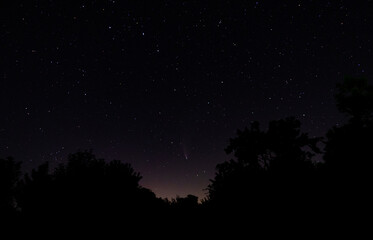 Comet Neowise in the black starry night sky. The sky of the Northern hemisphere at night, various constellations, comets and cosmic celestial bodies. Night sky, space.