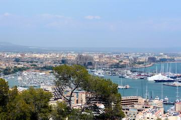 Aerial view of port in Palma de Mallorca, Balearic Islands, Spain