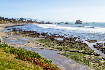 Rocky shoreline in Pebble Beach California