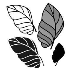 Isolated black and white vector design of tropical leaves, lined, silhouette