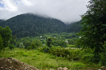 Beautiful view of hills and paddy fields at Kashmir.