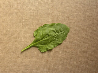 Green color Spinach leaf isolated on burlap jute background