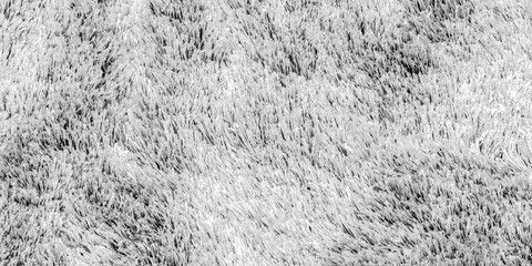 Texture of a long pile carpet - large image in high resolution