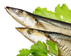 smoked herring isolated on white background