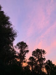 Cotton candy sky, sunset, sky, trees