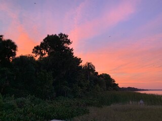 sunset on the lake, trees, pink, blue,