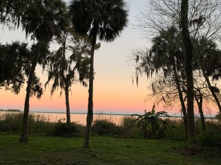 Fototapeta na wymiar sunset on the lake, palm trees