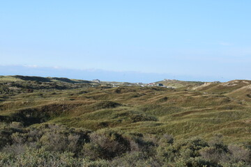 Fototapeta na wymiar View of the dunes and the Koog, Texel, the Netherlands