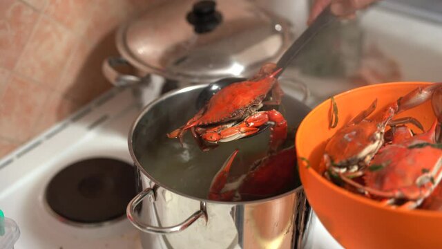 The cook takes out the cooked red blue crabs from the pan and folds them into an orange bowl.
