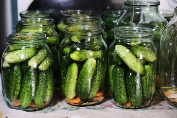 Canned pickled cucumbers in jars. Homemade food