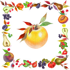 Watercolor colorful frame with  fruits grapes, persimmon, pear, strawberry, plum, peach and leaves. White background.