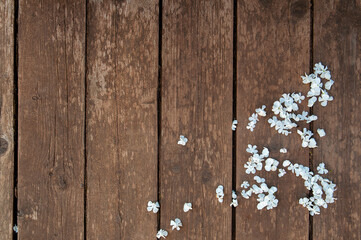 Background with small white flowers on old boards. Space for text. The view from the top.