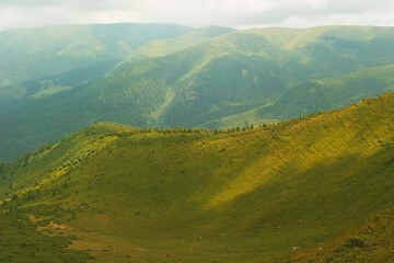 Obraz premium View of the panorama of the Carpathian Mountains