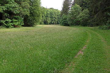 Paradiestal in der Fränkischen Schweiz
