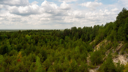 Forest trees view from above. Some trees on hill slope. Cloudy sky. Panoramic view. Nowiny (former quarry area), Poland, Europe.