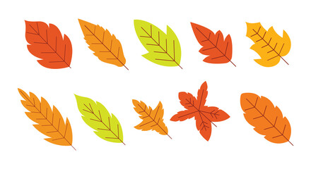 Autumn Maple Leaves Set, Graphic Element Leaf Collection, Vector