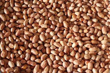 A lot of peanuts in the husk, the cause of allergies.