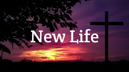 new life text with jesus cross and dark evening background