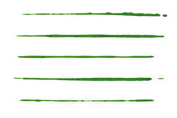 Obraz premium Green watercolor lines isolated on white background
