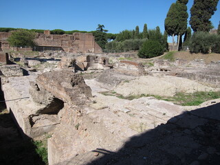 Ancient Ruins of Rome