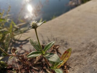 The most important thing is not speed, but the direction to grow in the right way