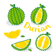 collection of durian fruits