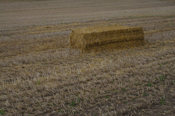 Strohballen auf einem Feld