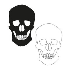 Skull anphas hand drawn graphic ink sketch stock vector illustration for web, for print 